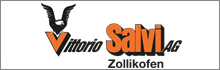 Logo salvi